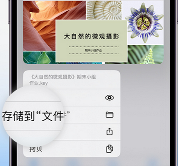 广陵apple维修中心分享iPhone文件应用中存储和找到下载文件