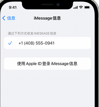 广陵apple维修iPhone上无法正常发送iMessage信息 