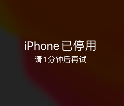 广陵苹果手机维修分享:iPhone 显示“不可用”或“已停用”怎么办？还能保留数据吗？ 