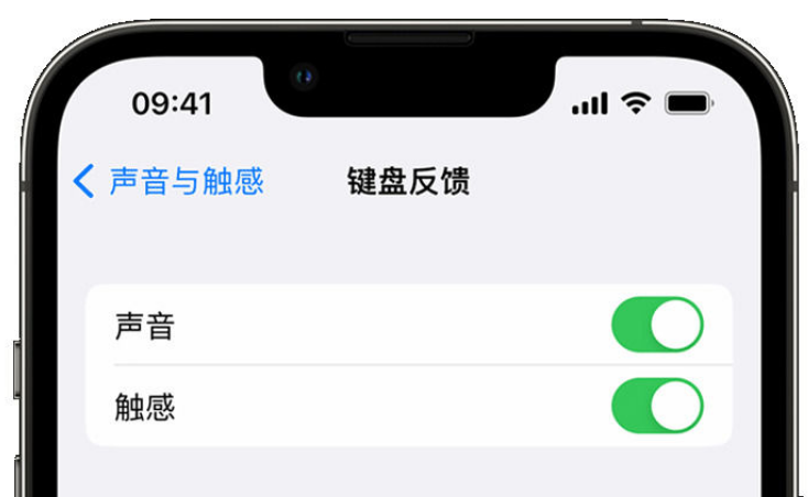 广陵苹果手机维修分享iPhone 14触感键盘使用方法 