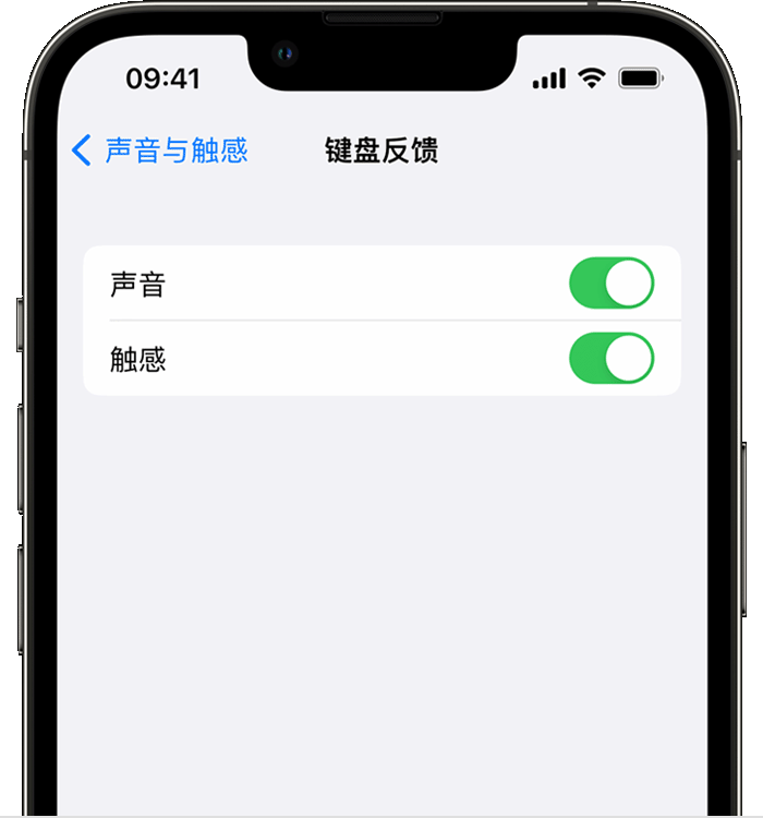 广陵苹果14维修店分享如何在 iPhone 14 机型中使用触感键盘 