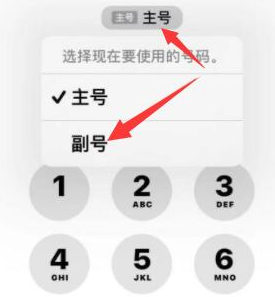 广陵苹果14维修店分享iPhone 14 Pro Max使用副卡打电话的方法 