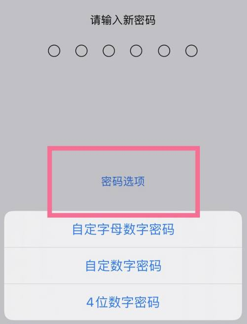 广陵苹果14维修分享iPhone 14plus设置密码的方法 