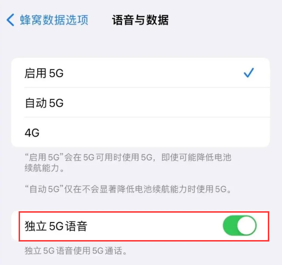 广陵苹果14维修分享iPhone 14 Pro如何开启VoNR 