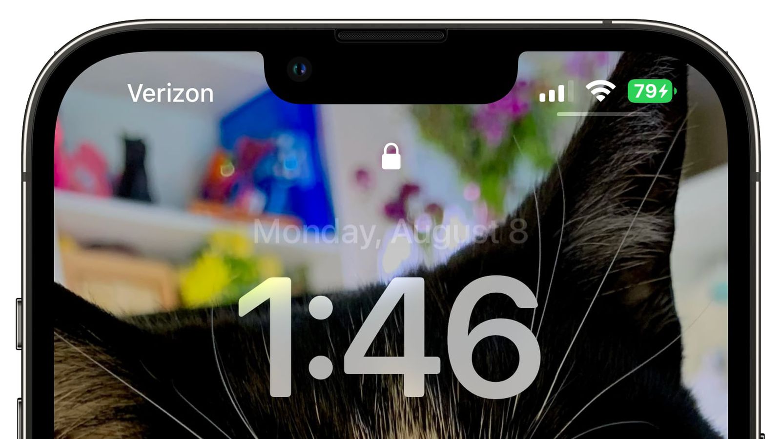 广陵苹果手机维修分享iOS 16 beta 5 支持状态栏显示电池百分比，如何开启？支持哪些机型 