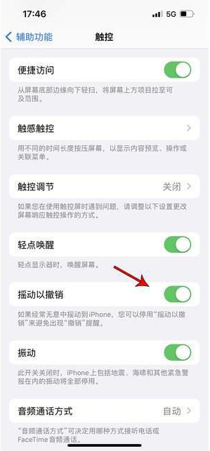 广陵苹果手机维修分享iPhone手机如何设置摇一摇删除文字 