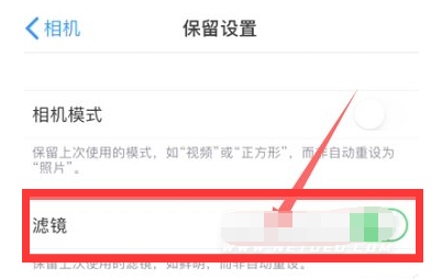 广陵苹果13维修分享iPhone13拍照有绿点是怎么回事 