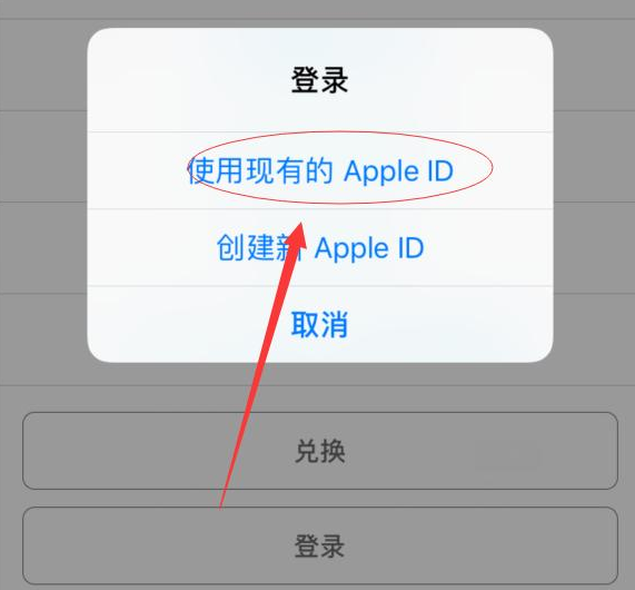 广陵苹果手机维修分享两台iPhone设备可以同时登录一个Apple ID吗 