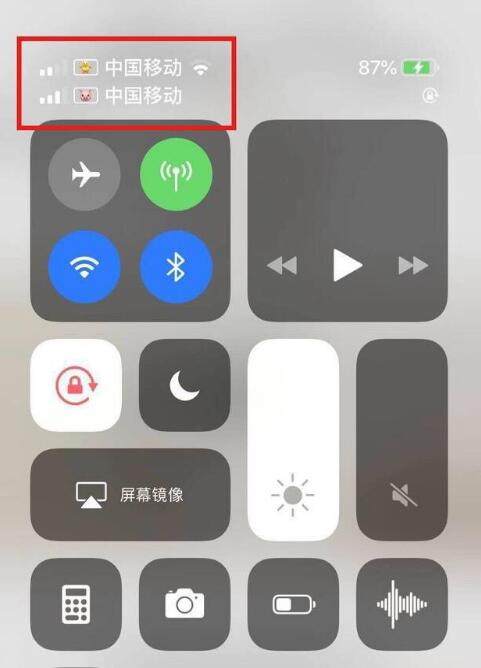广陵苹果手机维修分享为 iPhone 12 双卡设置标签 