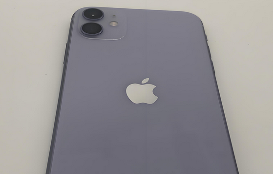 广陵苹果11系统维修分享iPhone11手机系统崩溃无法开机如何解决 